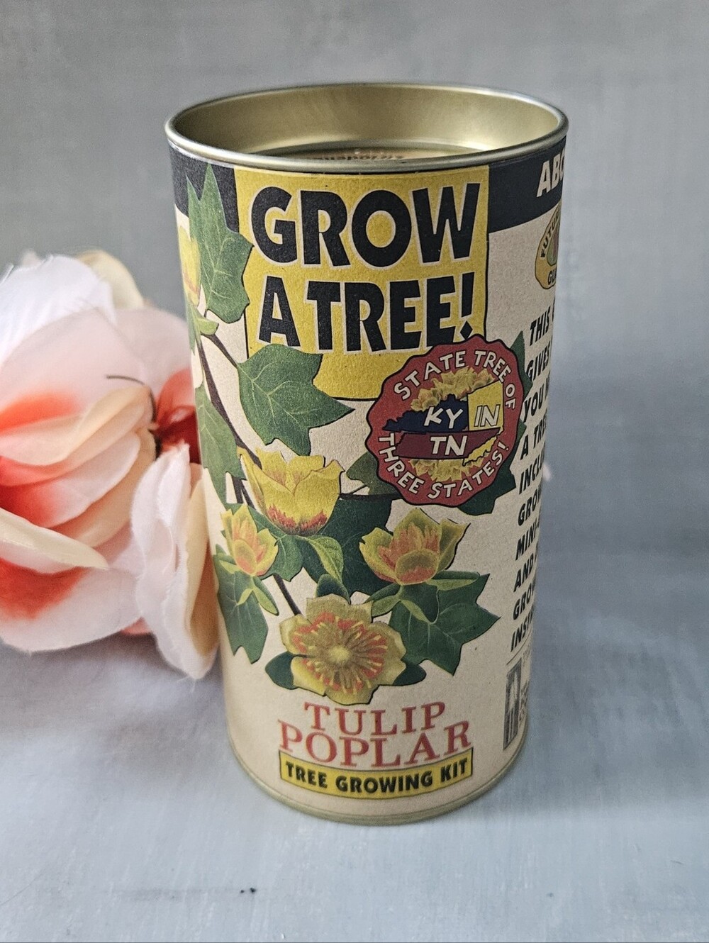 Tulip Poplar Tree Seed Grow Kit The Jonsteen Company Grow your own tree from see